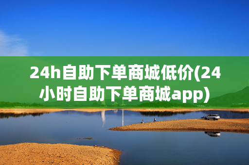 24h自助下单商城低价(24小时自助下单商城app)